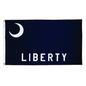 Fort Moultrie Flag 3 x 5 Ft Nylon
